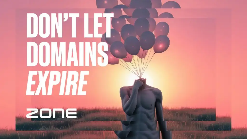 Domain expiry, drop catching and the real cost of losing your domain