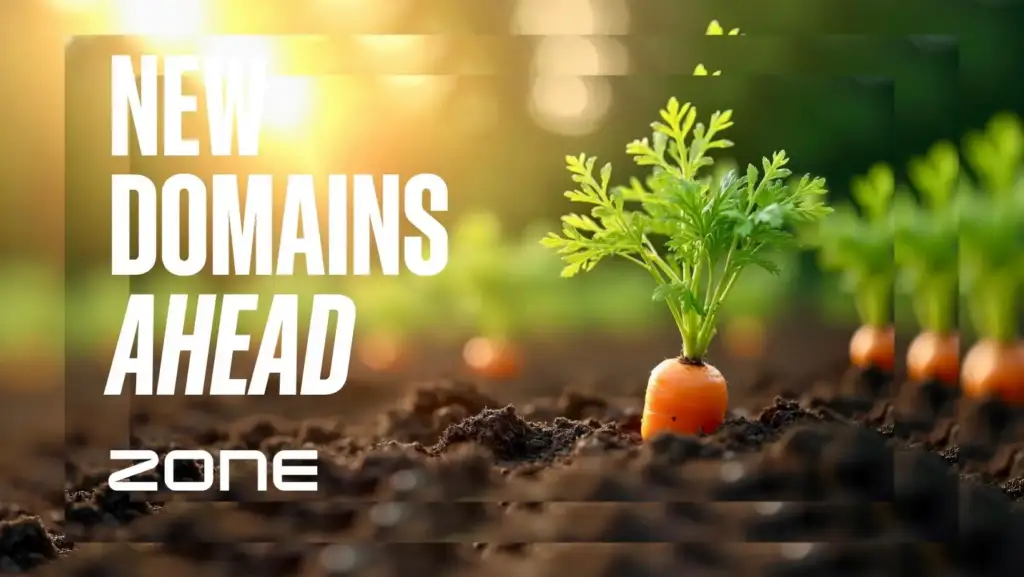 New gTLD application round: the domain world has changed