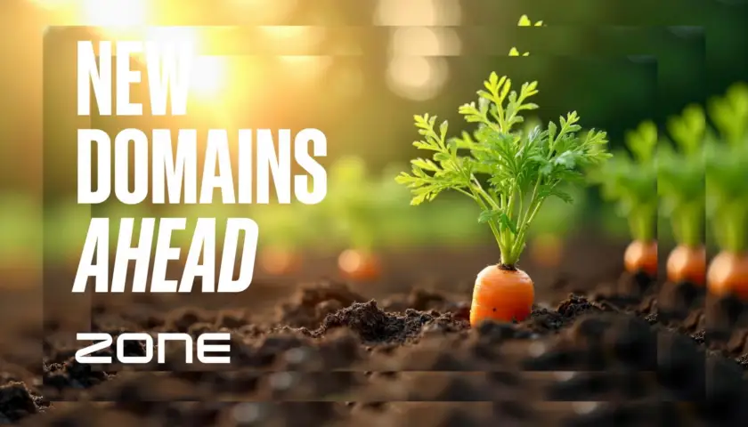 New gTLD application round: the domain world has changed